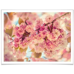 Wall-Art Poster »Kirschblüten«, Natur, (1 St.), Poster ohne Bilderrahmen bunt Größe