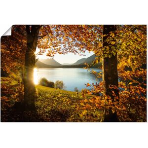 Artland Wandbild »Herbst am Sylvensteinsee«, Gewässer, (1 St.), als Alubild,... orange Größe