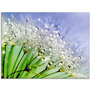 Artland Glasbild »Glitzernde Pusteblume«, Blumen, (1 St.), in verschiedenen... blau Größe