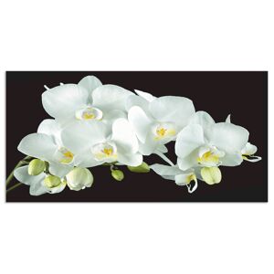 Artland Küchenrückwand »Weisse Orchidee auf schwarzem Hintergrund«, (1 tlg.),... weiss Größe