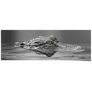 Reinders! Poster »Alligator Augen«, (1 St.) schwarz Größe