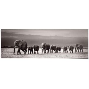 Reinders! Poster »Elefantenherde auf Reise«, (1 St.) schwarz Größe
