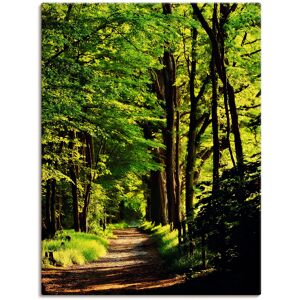 Artland Wandbild »Weg im Wald«, Wald, (1 St.), als Alubild, Outdoorbild,... grün Größe