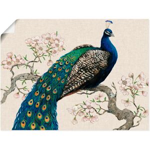 Artland Wandbild »Pfau & Blüten I«, Vögel, (1 St.), als Alubild, Outdoorbild,... naturfarben Größe