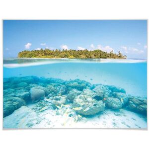 Wall-Art Poster »Unterwasserwelt Malediven«, Meer, (1 St.), Poster ohne... bunt Größe