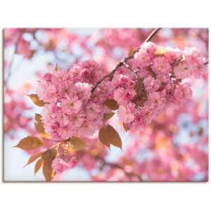 Artland Wandbild »Japanische Kirschblüte in Love I«, Blumen, (1 St.), als... pink Größe