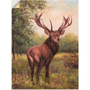 Artland Wandbild »Hirsch«, Wildtiere, (1 St.), als Leinwandbild, Poster,... grün Größe