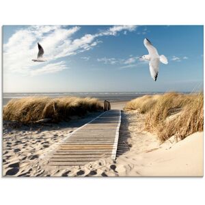 Artland Glasbild »Nordseestrand auf Langeoog mit Möwen«, Strand, (1 St.), in... blau Größe