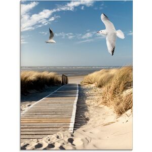 Artland Glasbild »Nordseestrand auf Langeoog mit Möwen«, Strand, (1 St.), in... blau Größe