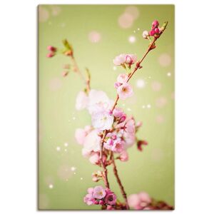 Artland Wandbild »Kirschblütenzweig«, Blumen, (1 St.), als Leinwandbild,... pink Größe