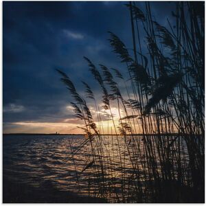 Artland Alu-Dibond-Druck »Sonnenuntergang mit Schilf am See«, Seebilder, (1... blau Größe