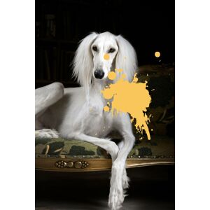 queence Acrylglasbild »Hund« gelb Größe