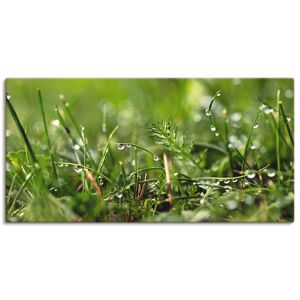 Artland Wandbild »Tautropfen«, Gräser, (1 St.), als Alubild, Outdoorbild,... grün Größe