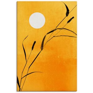 Artland Leinwandbild »Sonniger Tag«, Pflanzenbilder, (1 St.), auf Keilrahmen... goldfarben Größe