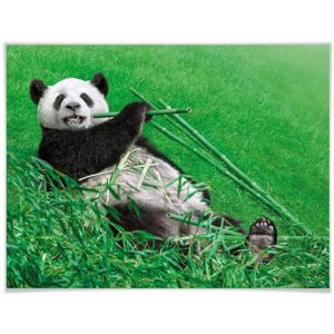 Wall-Art Poster »Waldtiere Bambus Panda«, Tiere, (1 St.), Poster ohne... bunt Größe