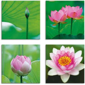 Artland Leinwandbild »Lotusblumen Motive«, Blumen, (4 St.), 4er Set,... grün Größe