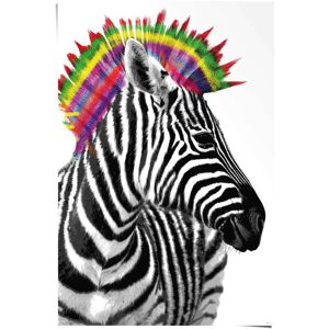 Reinders! Poster »Zebra Punk«, (1 St.) schwarz Größe