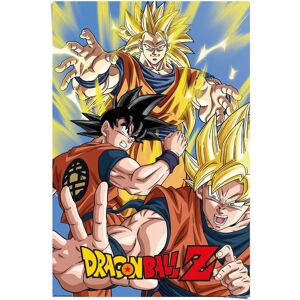 Reinders! Poster »Dragon Ball Z Goku«, (1 St.) mehrfarbig Größe