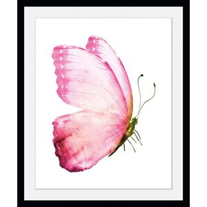 queence Bild »Apache«, Schmetterlinge, (1 St.) rosa Größe