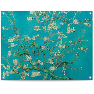 Reinders! Poster »Mandelblüte - Vincent van Gogh« blau Größe