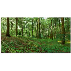 Artland Glasbild »Panorama von einem grünen Sommerwald«, Wald, (1 St.), in... grün Größe