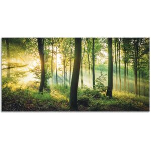 Artland Wandbild »Herbst im Wald II«, Waldbilder, (1 St.), als Alubild,... grün Größe