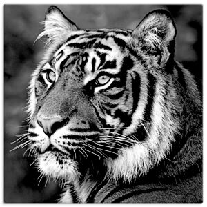 Artland Wandbild »Tiger«, Wildtiere, (1 St.), als Leinwandbild, Poster,... schwarz Größe