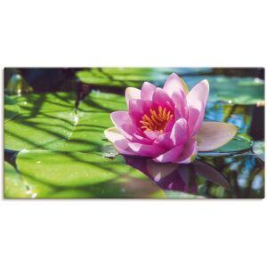 Artland Wandbild »Seerose Nahaufnahme«, Blumenbilder, (1 St.), als Alubild,... grün Größe