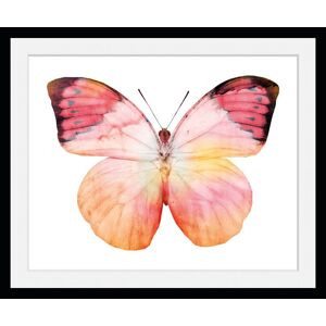 queence Bild »Elli«, Schmetterlinge, (1 St.) rosa Größe