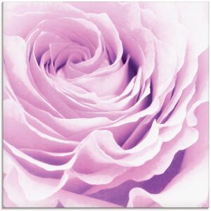 Artland Glasbild »Pastell Rose«, Blumen, (1 St.), in verschiedenen Grössen pink Größe