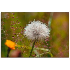 Artland Wandbild »Pusteblume im Blumenfeld«, Blumen, (1 St.), als... naturfarben Größe