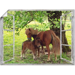 Artland Wandbild »Fensterblick - Pony mit Kind«, Haustiere, (1 St.), als... grün Größe