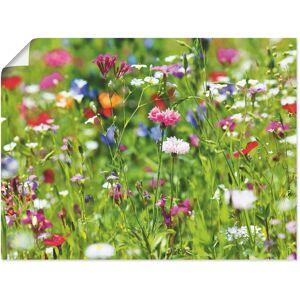 Artland Wandbild »Blumenwiese I«, Blumenwiese, (1 St.), als Leinwandbild,... grün Größe