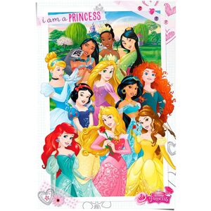 Reinders! Poster »Disney Princess« bunt Größe
