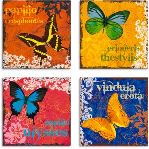 Artland Leinwandbild »Schmetterlinge Bunt«, Insekten, (4 St.), 4er Set,... bunt Größe