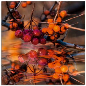 Artland Glasbild »Rote Beeren - Wildbeeren«, Pflanzen, (1 St.), in... orange Größe