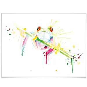 Wall-Art Poster »Frog«, Frosch, (1 St.), Poster ohne Bilderrahmen bunt Größe