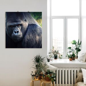 Artland Poster »Gorilla«, Wildtiere, (1 St.), als Leinwandbild, Wandaufkleber... schwarz Größe