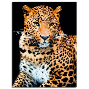 Artland Wandbild »Wütender wilder Leopard«, Wildtiere, (1 St.), als Alubild,... schwarz Größe