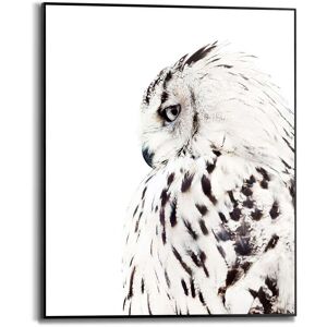 Reinders! Bild mit Rahmen »White Owl«, (1 St.) schwarz/weiss Größe