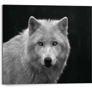 Reinders! Wandbild »Weisser Wolf« schwarz/weiss Größe