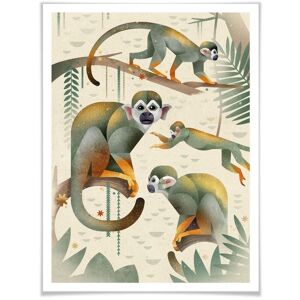 Wall-Art Poster »Squirrel Monkeys«, Tiere, (1 St.), Poster ohne Bilderrahmen bunt Größe