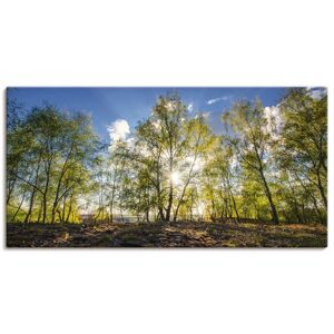 Artland Leinwandbild »Frühlingssonne«, Wald, (1 St.), auf Keilrahmen gespannt grün Größe