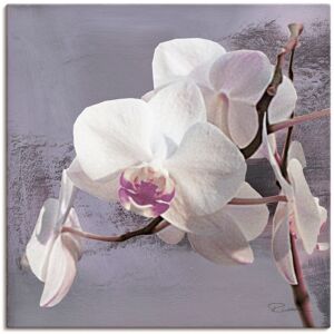 Artland Wandbild »Orchideen vor Violett I«, Blumen, (1 St.), als Alubild,... weiss Größe