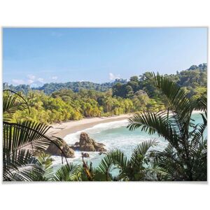 Wall-Art Poster »Dschungelblick Costa Rica«, Landschaften, (1 St.), Poster... bunt Größe