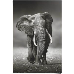 Reinders! Poster »Poster Elefant Wanderung«, Elefanten, (1 St.) schwarz Größe