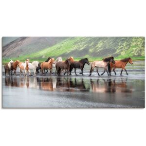 Artland Wandbild »Isländische Pferde XIV«, Haustiere, (1 St.), als... naturfarben Größe
