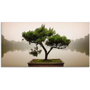 Artland Glasbild »Chinesischer Bonsaibaum«, Bäume, (1 St.), in verschiedenen... grün Größe