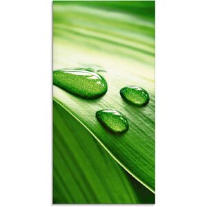 Artland Glasbild »Nahaufnahme eines grünen Pflanzenblattes«, Blätter, (1... grün Größe