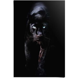 Reinders! Poster »Poster Schwarzer Panther«, Tiere, (1 St.) schwarz Größe